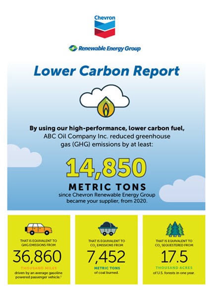 Lower Carbon Report